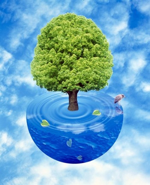 Lush green tree growing from half sphere of blue water and ripples floating in cloudy blue sky Poster Print by Panoramic Images (30 x 36) - Item # PPI117875