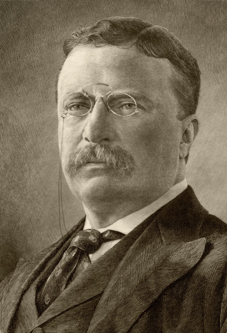Theodore D. Roosevelt, 1858 To 1919. 26Th President Of The United States. PosterPrint - Item # VARDPI1872570