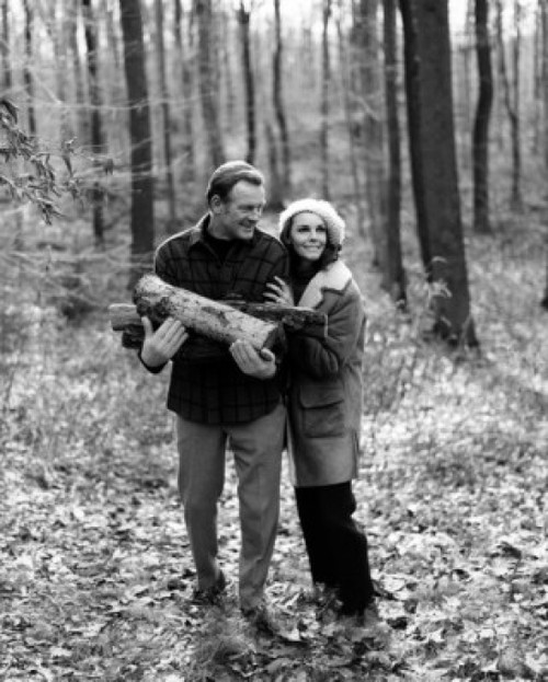 Mature couple in forest  man holding firewood Poster Print - Item # VARSAL25528103B