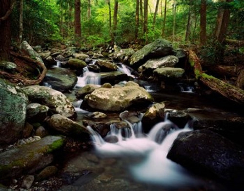 LeConte Creek  Great Smoky Mountains National Park Poster Print by Panoramic Images (16 x 12) - Item # PPI103086