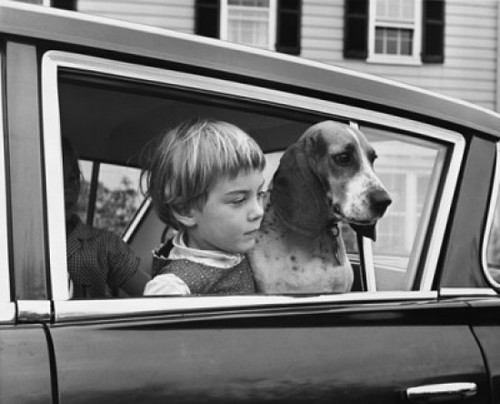 Girl with her dog in car looking through window Poster Print - Item # VARSAL25514217