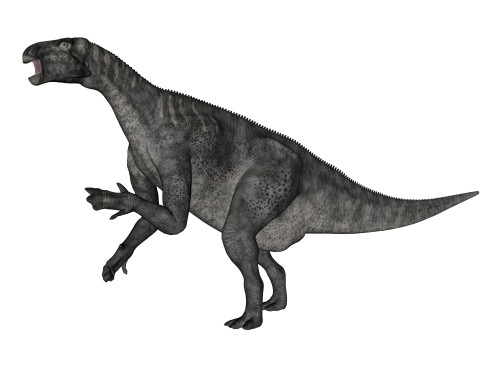 Iguanodon dinosaur rearing up, white background Poster Print - Item # VARPSTEDV600347P