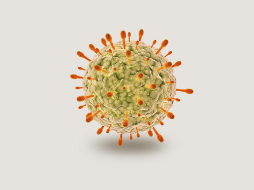 Microscopic view of herpes virus Poster Print - Item # VARPSTSTK700950H