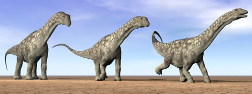 Three Argentinosaurus dinosaurs standing in the desert by daylight Poster Print - Item # VARPSTEDV600013P