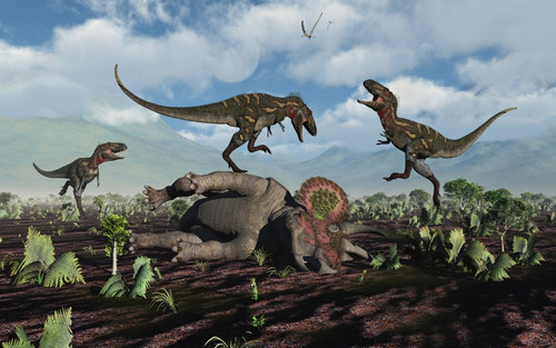A pack of carnivorous Nanotyrannus dinosaurs attacking a lone Triceratops during the Cretaceous Period Poster Print - Item # VARPSTMAS600003P