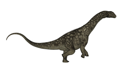 Argentinosaurus dinosaur isolated on white background Poster Print - Item # VARPSTEDV600317P