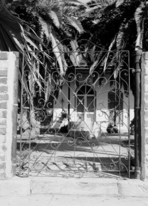 USA  Florida  Key West  Hemingway House Poster Print - Item # VARSAL255423177