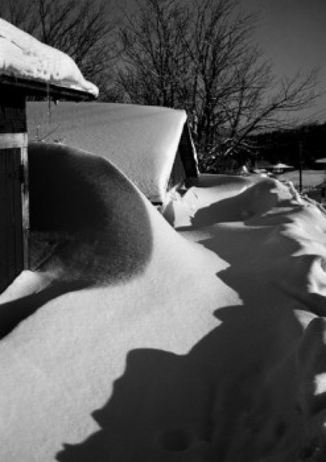 Snow shadows Poster Print - Item # VARSAL255422919