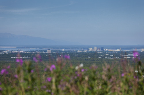 Skyline View Of Anchorage, Alaska, Southcentral, Summer PosterPrint - Item # VARDPI2143360