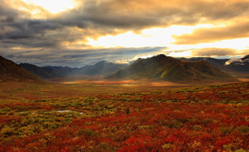 Shaft Of Sunlight Hitting The Fall Colours Of The Dempster Highway, Yukon PosterPrint - Item # VARDPI2048893