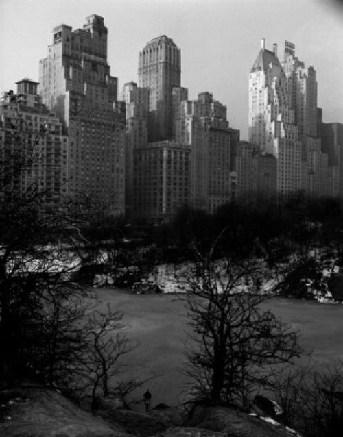 USA  New York  New York City  skyline from Central Park Poster Print - Item # VARSAL255416891