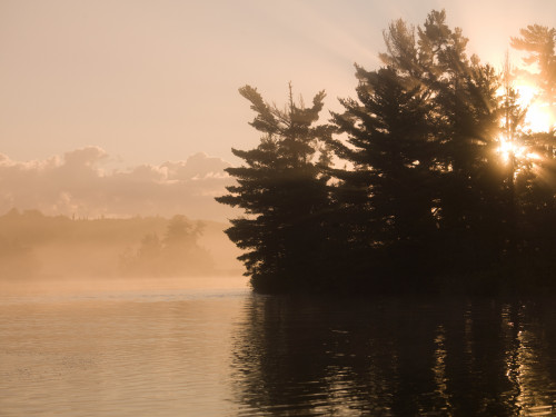 Lake Of The Woods, Ontario, Canada PosterPrint - Item # VARDPI1836913