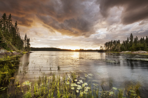 Sunset over a pond; Thunder Bay, Ontario, Canada PosterPrint - Item # VARDPI12301389