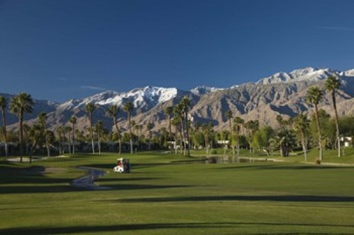 Palm trees in a golf course  Desert Princess Country Club  Palm Springs  Riverside County  California  USA Poster Print by Panoramic Images (24 x 16) - Item # PPI124789 Palm trees in a golf course  Desert Princess Country Club  Palm Springs  Riverside County  California  USA Poster Print by Panoramic Images (24 x 16) - Item # PPI124789