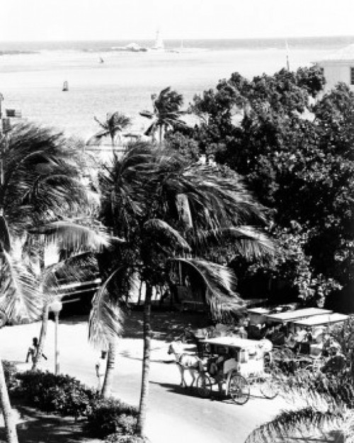 Bahamas  Nassau  Horse drawn and coastline in the background  high angle view Poster Print - Item # VARSAL255424593