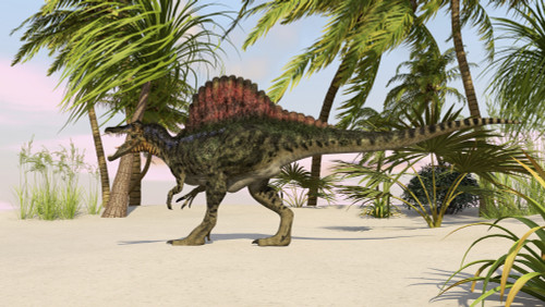 Spinosaurus hunting for food Poster Print - Item # VARPSTKVA600197P