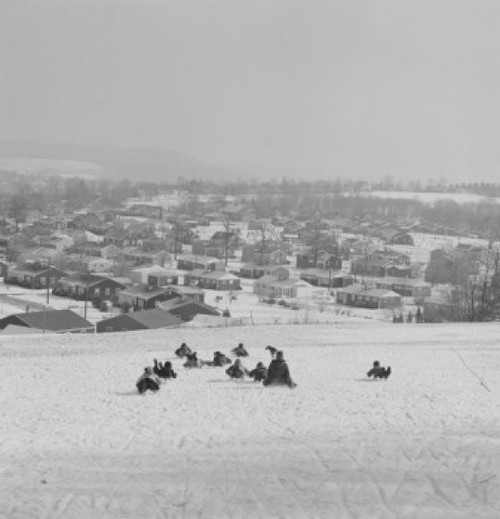 Children sledding down hill Poster Print
