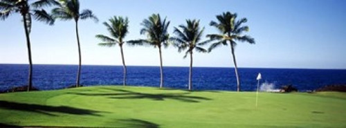 Golf Course  Big Island HI Poster Print by Panoramic Images (33 x 12) - Item # PPI76595