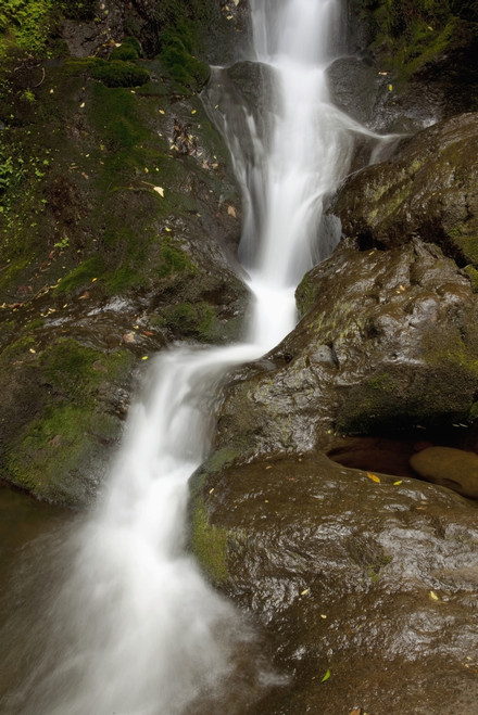 Hawaii, Maui, Makamakaole Gulch, A closeup of waterfall. PosterPrint - Item # VARDPI2116319