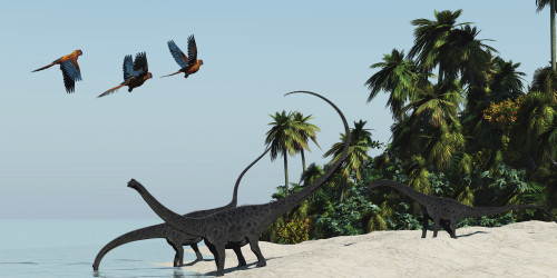 Three Diplodocus dinosaurs come to the water's edge for a refreshing drink in a hot tropical region Poster Print - Item # VARPSTCFR200061P