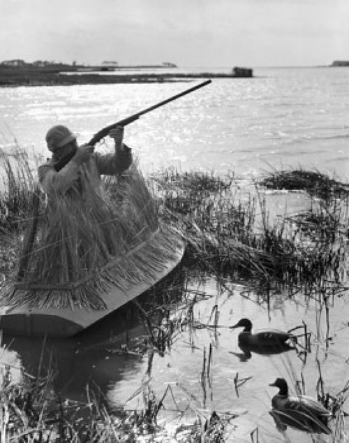 Male hunter aiming a rifle Poster Print - Item # VARSAL25524390B