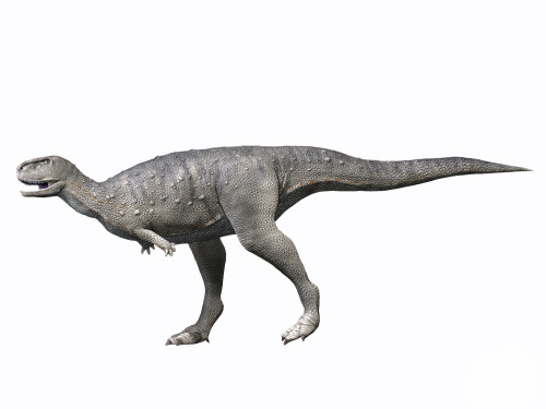 Rugops primus, Late Cretaceous of Niger Poster Print - Item # VARPSTNBT600013P
