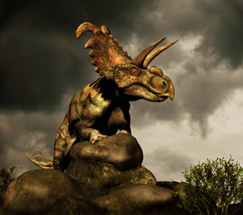 Albertaceratops surveys the land. Albertaceratops was a horned dinosaur from the Upper Cretaceous of Alberta, Canada Poster Print - Item # VARPSTPHB600002P