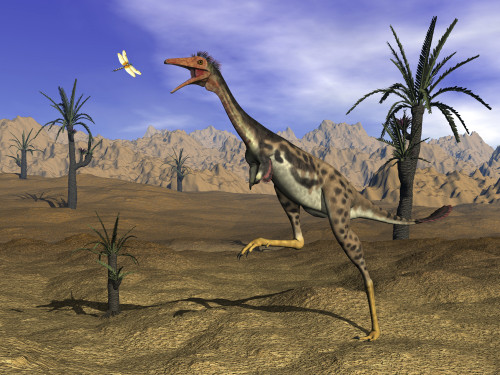 Mononykus dinosaur chasing a dragonfly in the desert surrounded with williamsonia trees Poster Print - Item # VARPSTEDV600245P