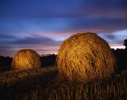 Ireland; Hay Bales PosterPrint - Item # VARDPI1820745
