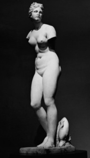 Aphrodite Greek Art Poster Print - Item # VARSAL2557856