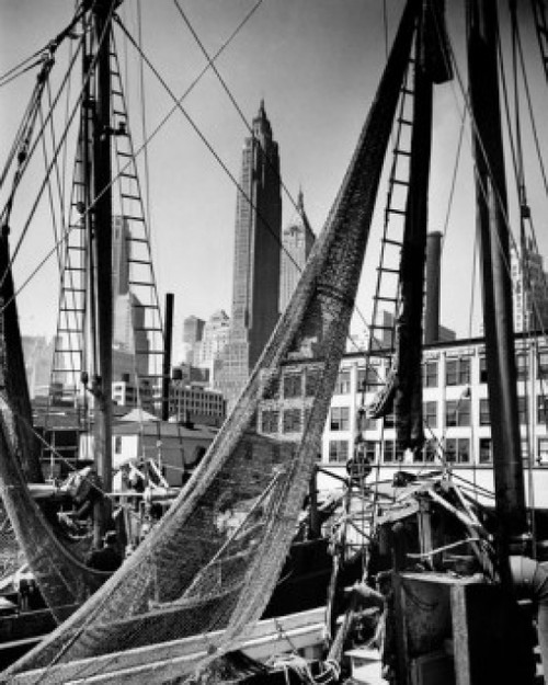 USA  New York  New York City  Low angle view of Fulton fish market Poster Print - Item # VARSAL25527089