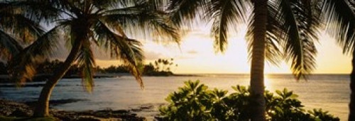 Kohala Coast  Big Island  Hawaii Poster Print by Panoramic Images (35 x 12) - Item # PPI38669