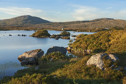 Landscape along the coast; Connemara, County Galway, Ireland PosterPrint - Item # VARDPI2429606