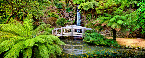 Footbridge and waterfall in a forest, Dandenong Forest, Melbourne, Victoria, Australia Poster Print - Item # VARPPI169358