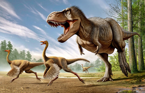 Tyrannosaurus Rex attacking two Struthiomimus dinosaurs Poster Print - Item # VARPSTMHA600017P