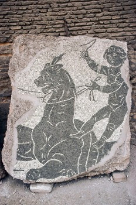 Caracalla Mosaic   Artist Unknown  Mosaic Poster Print - Item # VARSAL3800533299