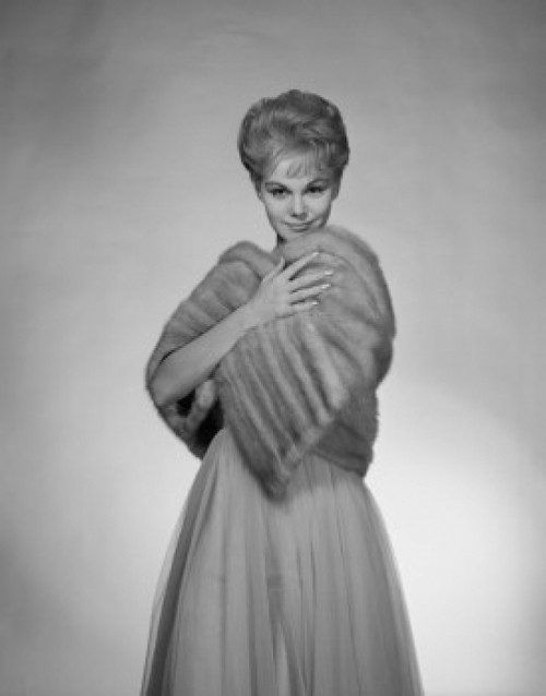 Portrait of elegant woman in fur Poster Print - Item # VARSAL255418074