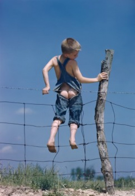 Boy trapped in a barbed wire fence Poster Print - Item # VARSAL3810990