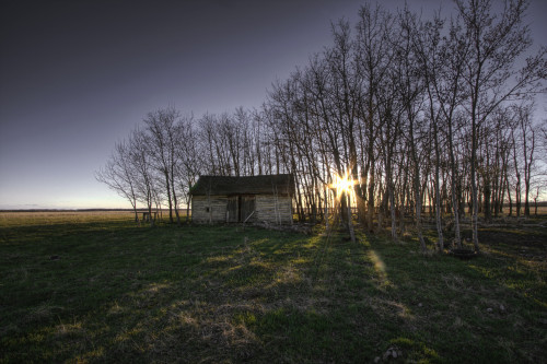 Old Prairie Homestead At Sunset, Northeast Of Fort Saskatchewan, Alberta PosterPrint - Item # VARDPI2035319
