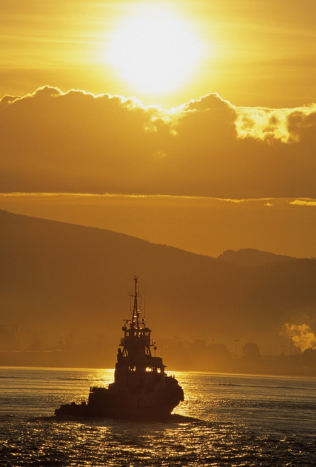 Tugboat At Sunrise, Burrard Inlet, Vancouver British Columbia. PosterPrint - Item # VARDPI2021863