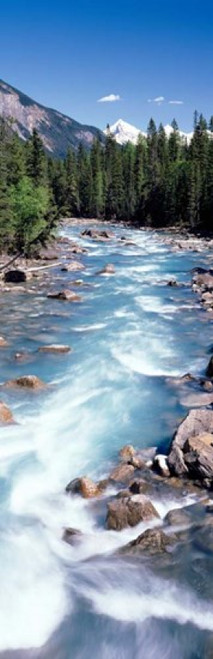Yoho River  British Columbia  Canada Poster Print by Panoramic Images (12 x 38) - Item # PPI70952