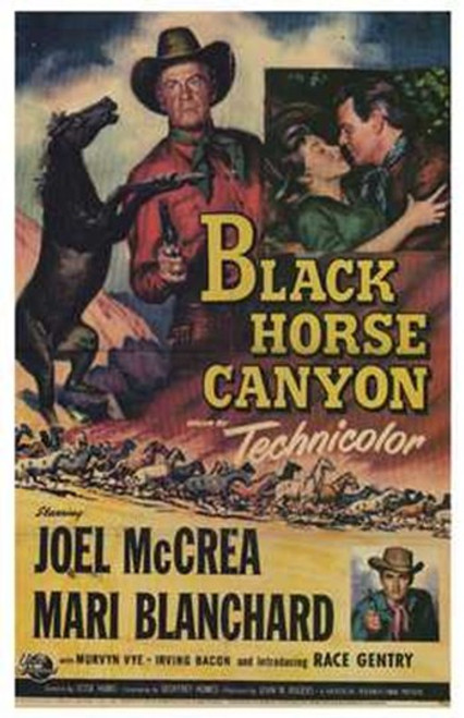 Black Horse Canyon Movie Poster (11 x 17) - Item # MOV209899