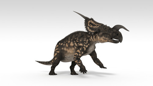 Einiosaurus dinosaur, white background Poster Print - Item # VARPSTKVA600734P