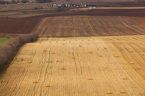 Elevated view of farm field, New Salem, Morton County, North Dakota, USA Poster Print - Item # VARPPI167107