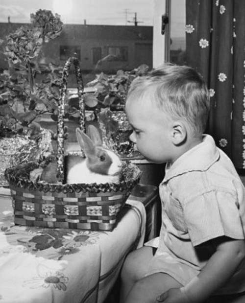 Side profile of a boy sitting near an Easter basket Poster Print - Item # VARSAL25539946 Side profile of a boy sitting near an Easter basket Poster Print - Item # VARSAL25539946