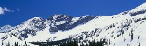 Little Cottonwood Canyon  Salt Lake City  Utah Poster Print by Panoramic Images (38 x 12) - Item # PPI56545