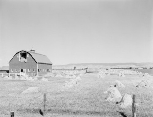 USA  Washington  Ellensburg  red barn and oat field Poster Print - Item # VARSAL255423798
