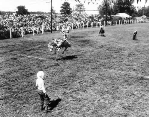 Cowboy riding a bucking horse in a rodeo Poster Print - Item # VARSAL25521966 Cowboy riding a bucking horse in a rodeo Poster Print - Item # VARSAL25521966