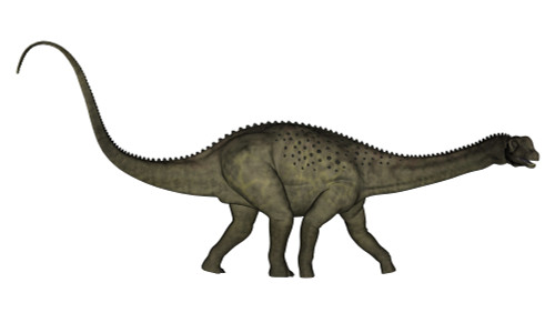 Uberabatitan dinosaur isolated on white background Poster Print - Item # VARPSTEDV600324P