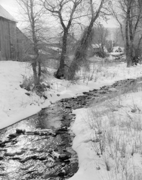 Stream in winter Poster Print